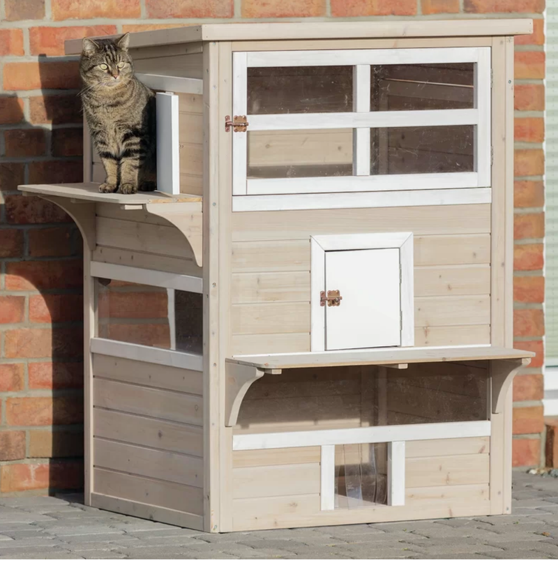 Illustration for article titled Saturday Night Social: What Is the Cat to Live in, if Not a Small Indoor Mansion